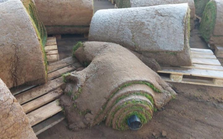 Сожгли ритуальные венки у Вечного огня, крушили городской стадион. В Барановичах подростки подозреваются в совершении сразу несколько актов вандализма за вечер