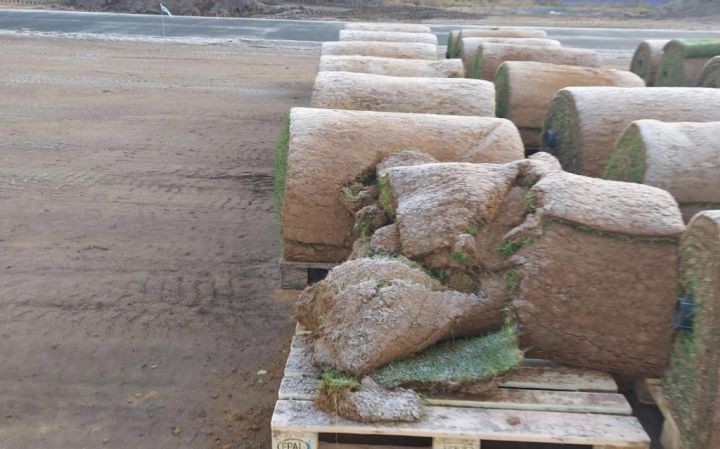 Сожгли ритуальные венки у Вечного огня, крушили городской стадион. В Барановичах подростки подозреваются в совершении сразу несколько актов вандализма за вечер