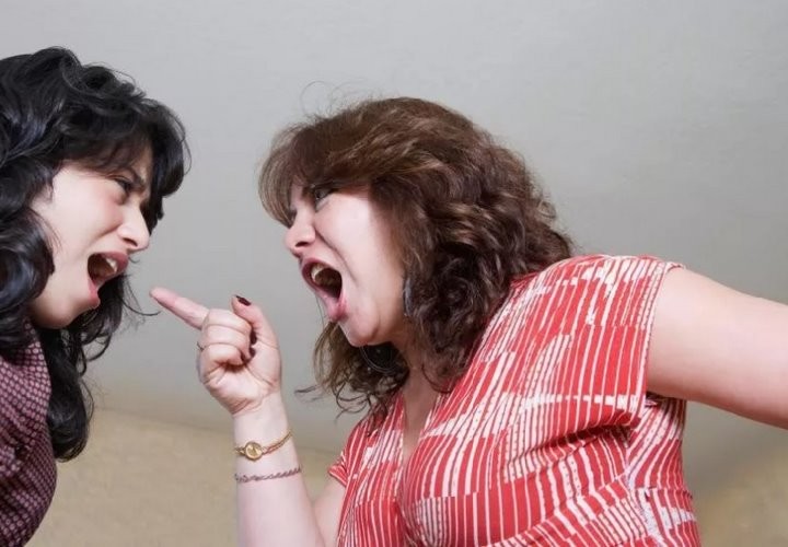 Соседи по общежитию не разделили безмерную любовь женщины к собакам. Дело дошло до суда