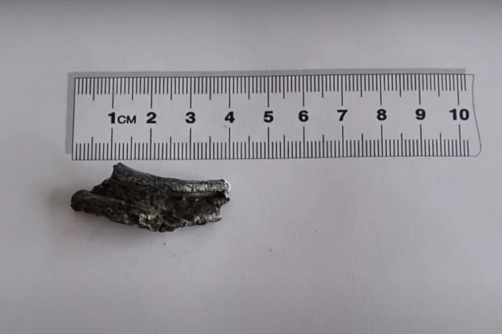 Самый известный белорусский кот заболел и перенес операцию