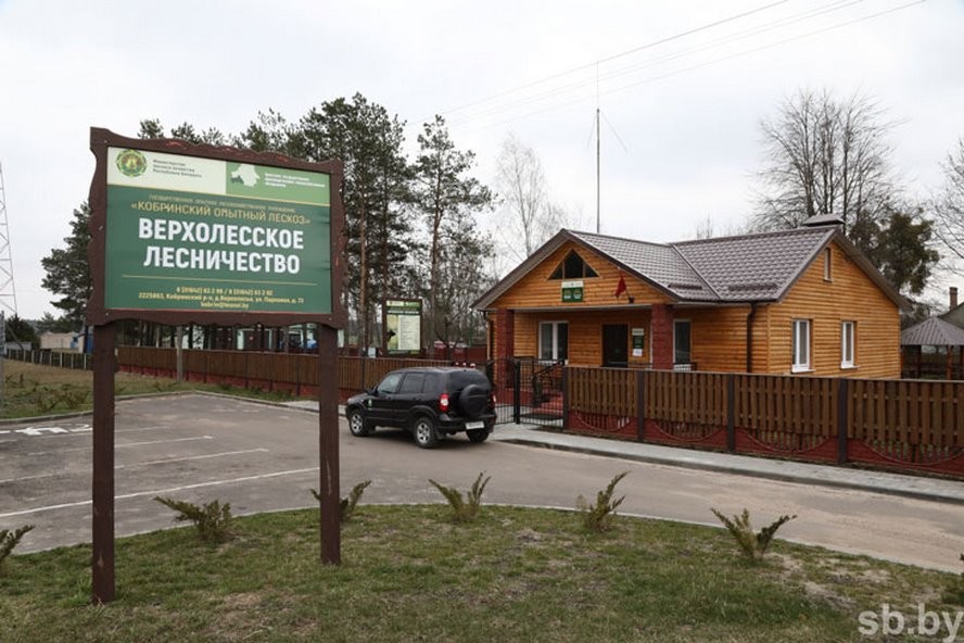 Берцы вместо каблуков. Как женщина стала лесничим в Кобринском районе