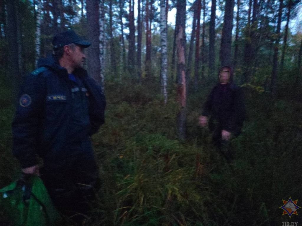 В Брестской области найдена женщина, которая заблудилась в лесу