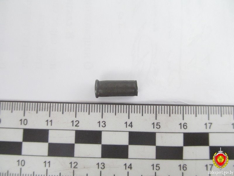 В Беларуси мужчина нашел стреляющую ручку и ранил себя в живот