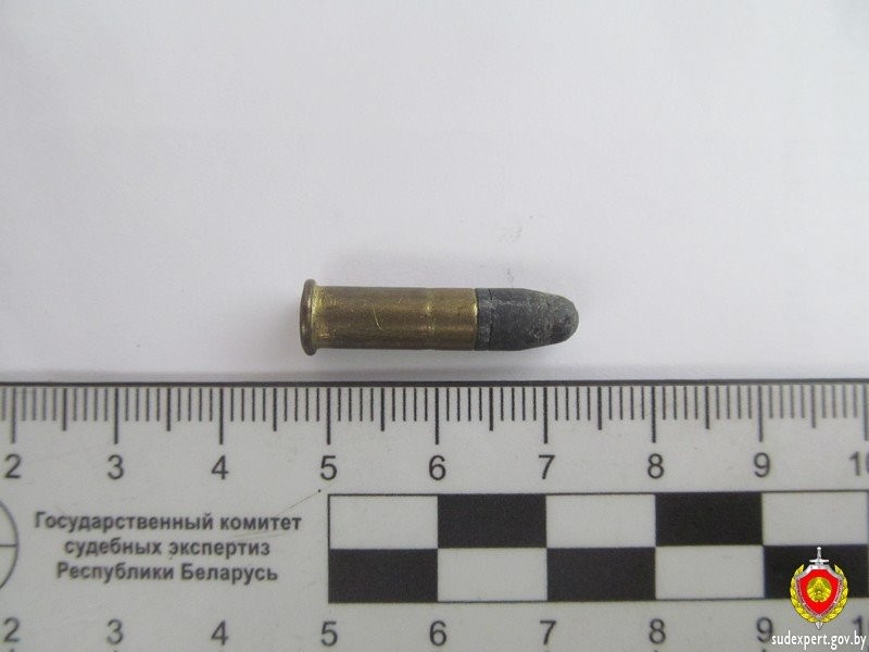 В Беларуси мужчина нашел стреляющую ручку и ранил себя в живот