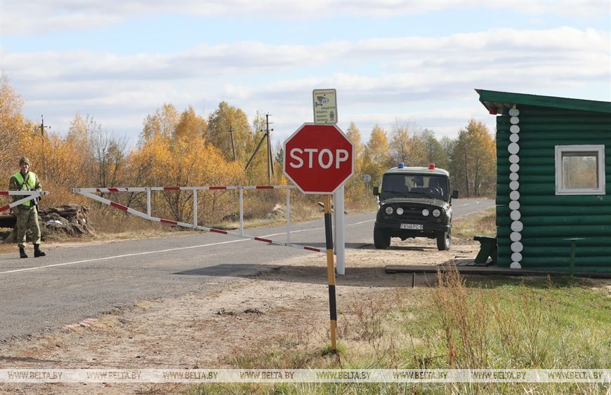 В Брессткой области начался сбор клюквы в крупнейшем хозяйстве Европы