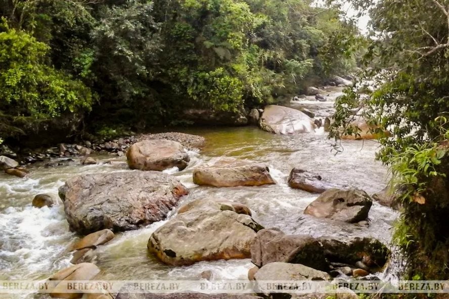 Из Эквадора в Кабаки (Брестская область): девушка рассказала, как ей живется в Беларуси