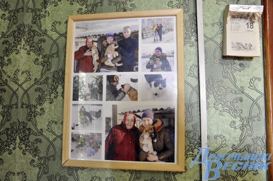 Как пенсионерка из Брестcкой области спасает животных