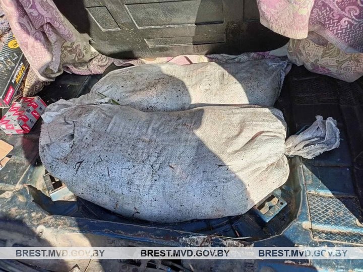 Более полутора центнеров рыбы пытались украсть работники рыбхоза в Дрогичинском районе