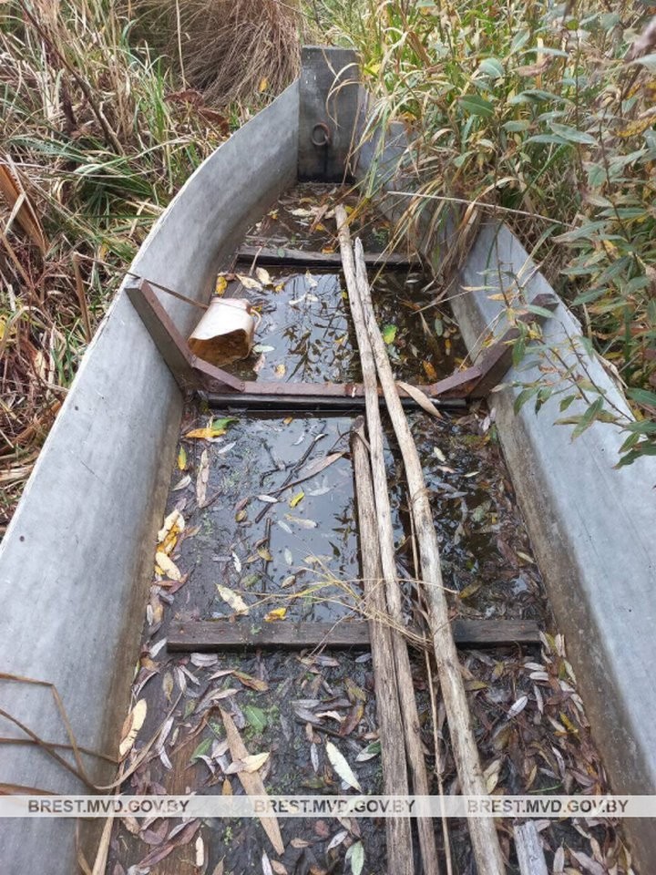 Житель Дрогичинского района похитил лодку