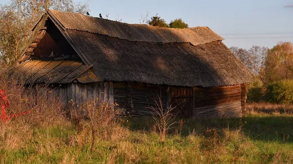 Sputnik / Виктор Толочко