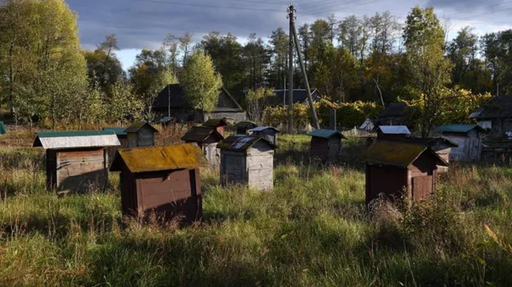 Sputnik / Виктор Толочко