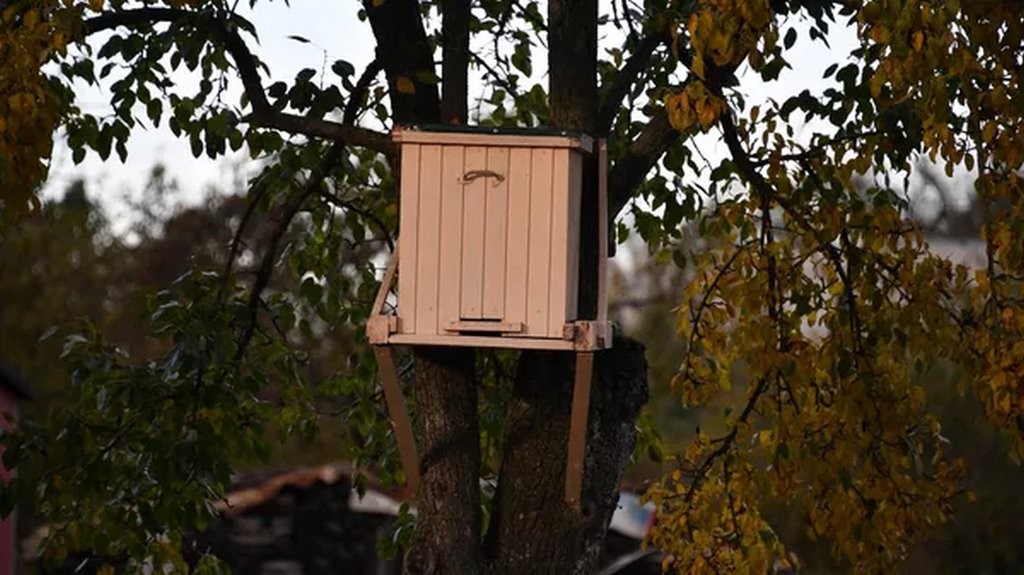 Sputnik / Виктор Толочко