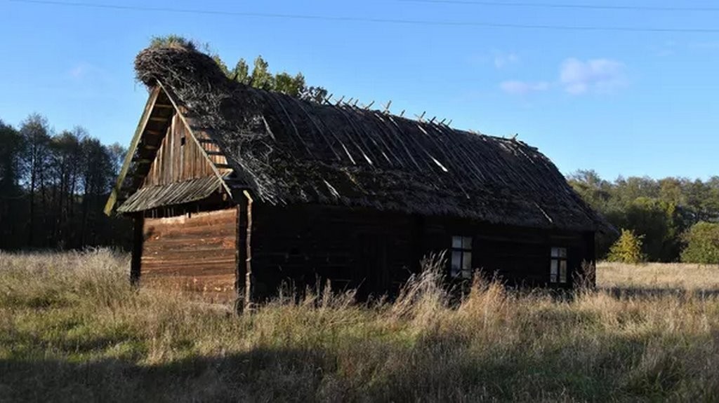 Sputnik / Виктор Толочко