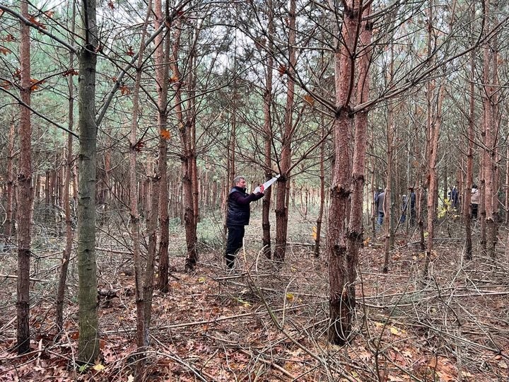 В Бресте сегодня проходит экологическая акция