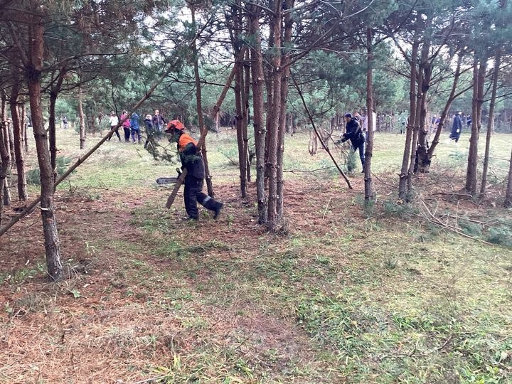 В Бресте сегодня проходит экологическая акция