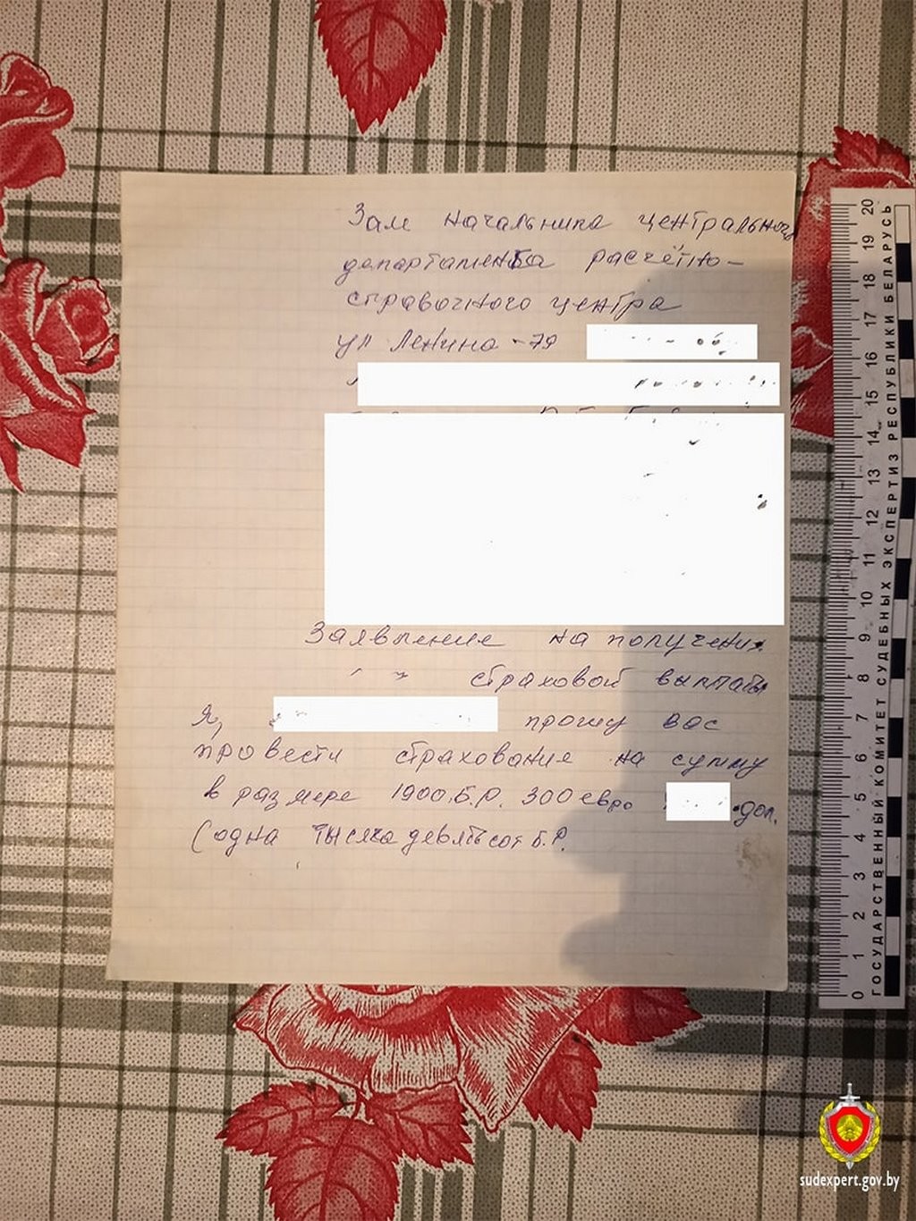 «Здравствуйте, Ваша дочь сбила человека…». Звонок 77-летней пенсионерке из Брестской области