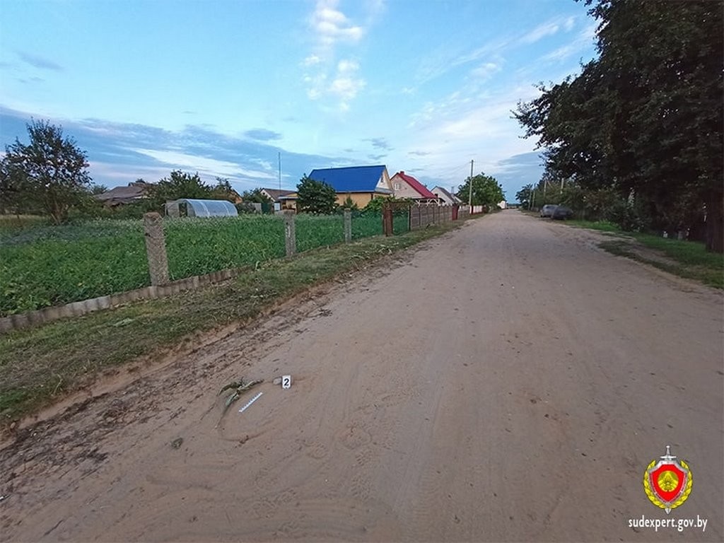 «Здравствуйте, Ваша дочь сбила человека…». Звонок 77-летней пенсионерке из Брестской области