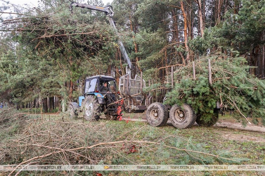 Парк воинов-интернационалистов в Бресте продолжат благоустраивать и создавать новые локации