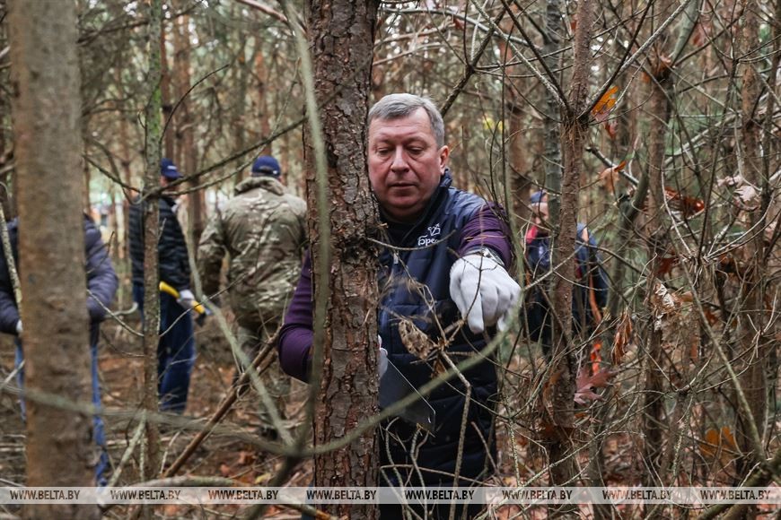 Парк воинов-интернационалистов в Бресте продолжат благоустраивать и создавать новые локации