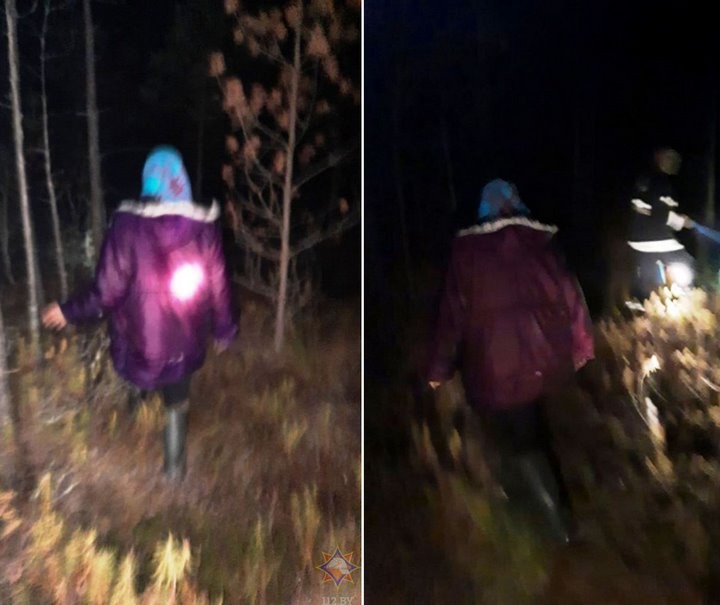 Пошла за клюквой и заблудилась: в Ганцевичском районе спасатели нашли ягодницу