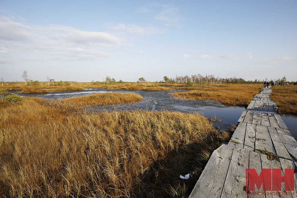 А вы знали, что в Беларуси есть места, похожие на тундру? Где их искать