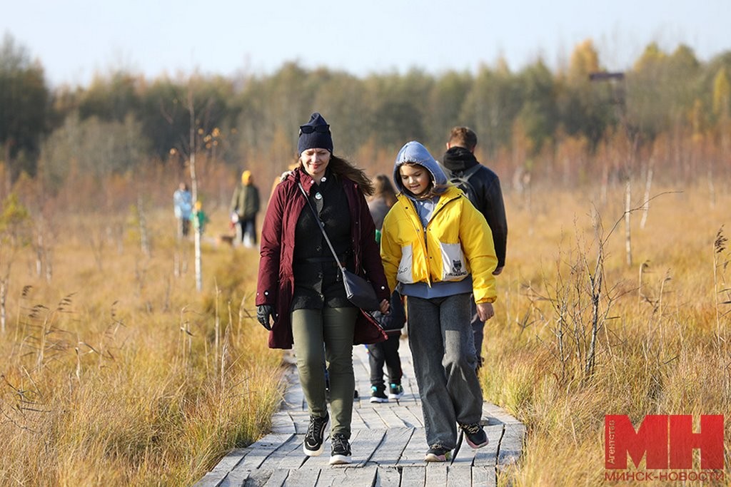 А вы знали, что в Беларуси есть места, похожие на тундру? Где их искать