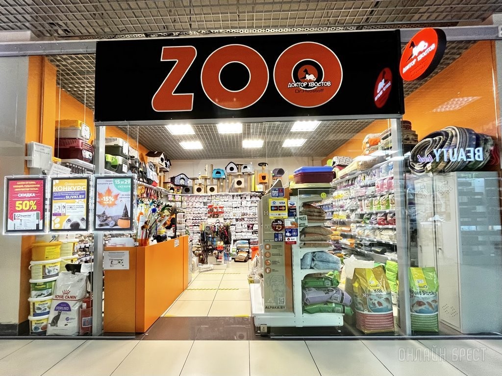 Как кошка с собакой! Как подружить разных животных в доме?