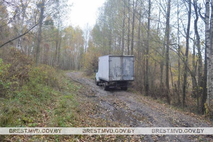 В Ганцевичском районе угнали автомобиль