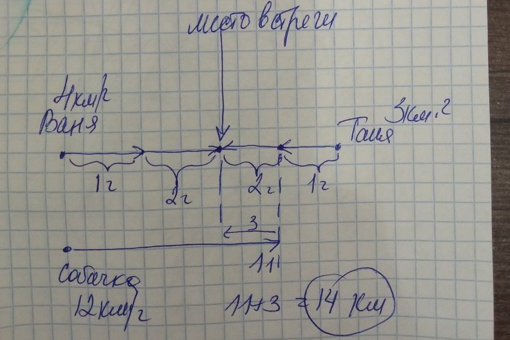 Детская задача про Жучку для слишком умных взрослых