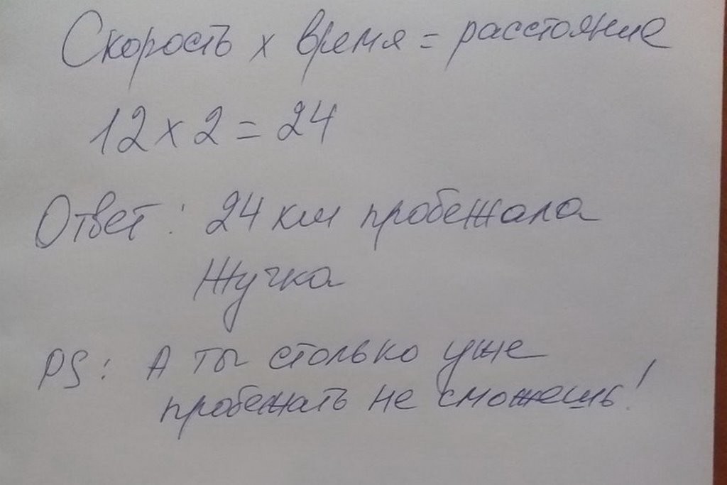 Детская задача про Жучку для слишком умных взрослых