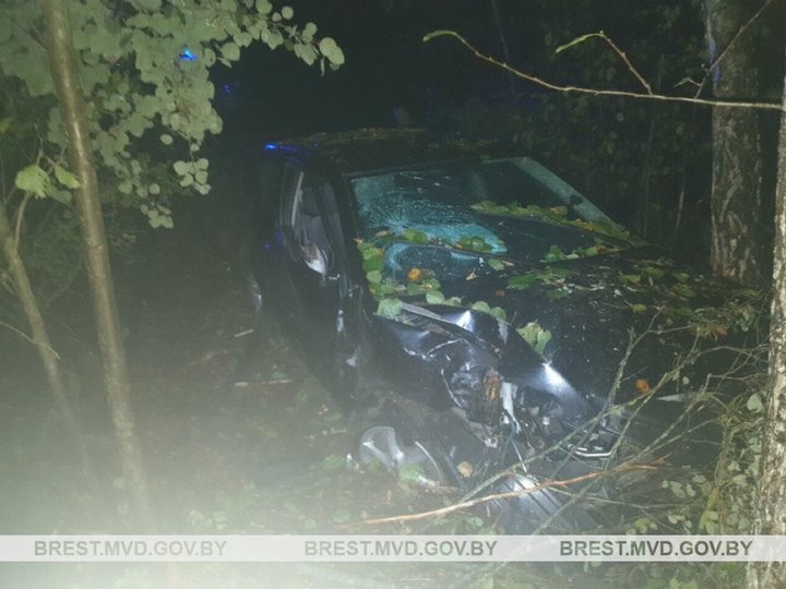 Ночью в Пинском районе водитель «Тойоты» врезался в придорожное дерево