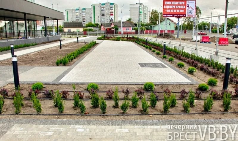 Зеленое море раскинулось у стен «Санты» в Бресте