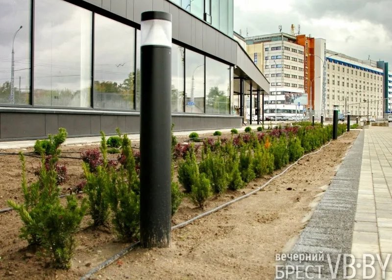 Зеленое море раскинулось у стен «Санты» в Бресте