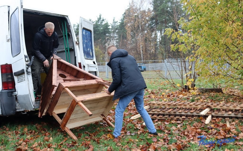 В Барановичах установили первые домики для бездомных котов