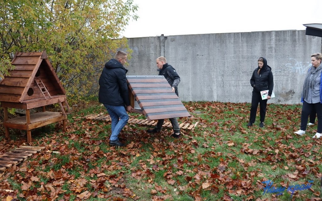 В Барановичах установили первые домики для бездомных котов