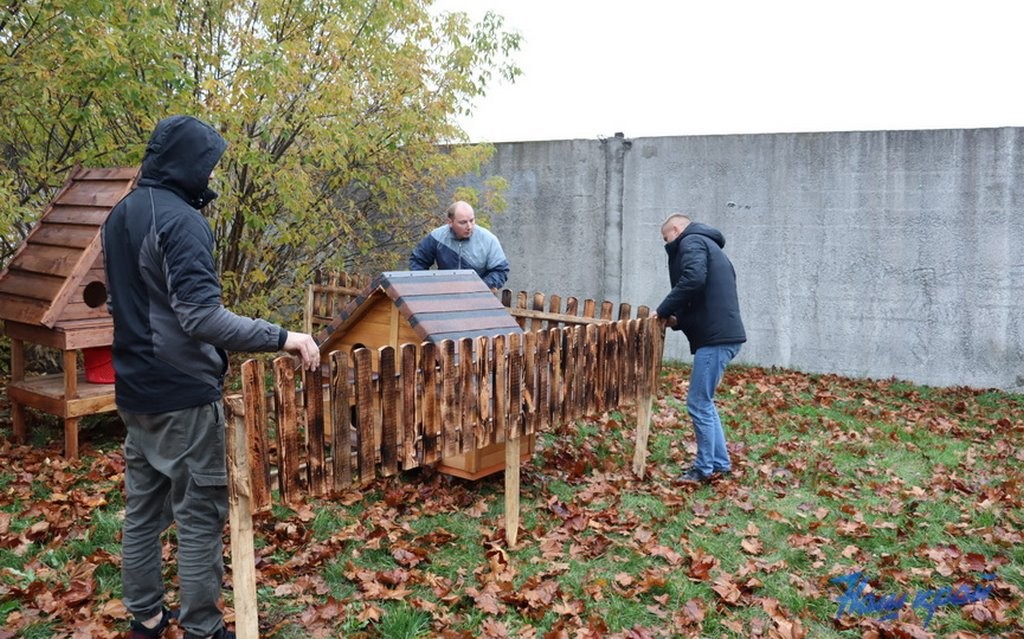 В Барановичах установили первые домики для бездомных котов