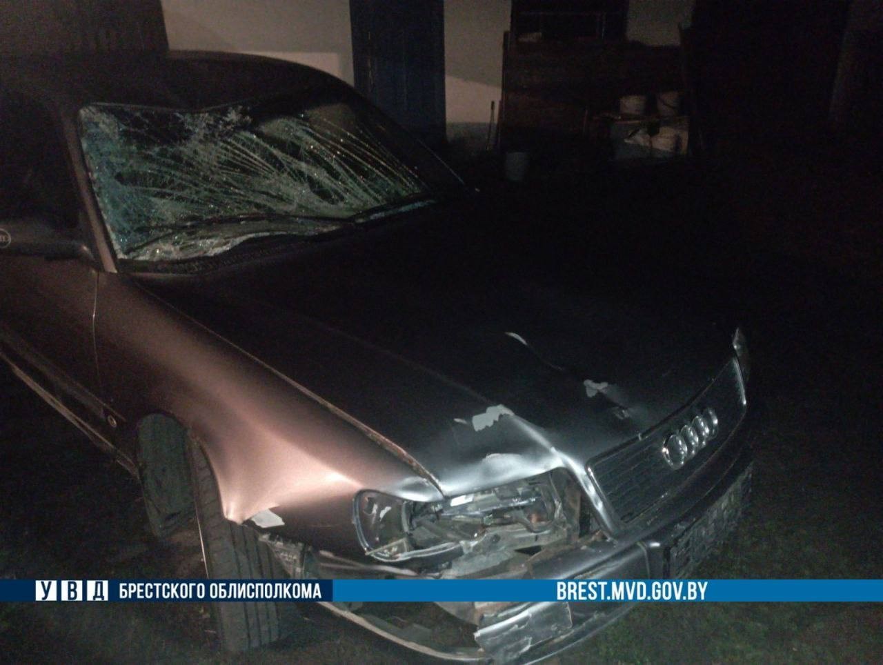 В Ивацевичском районе автомобиль сбил лося