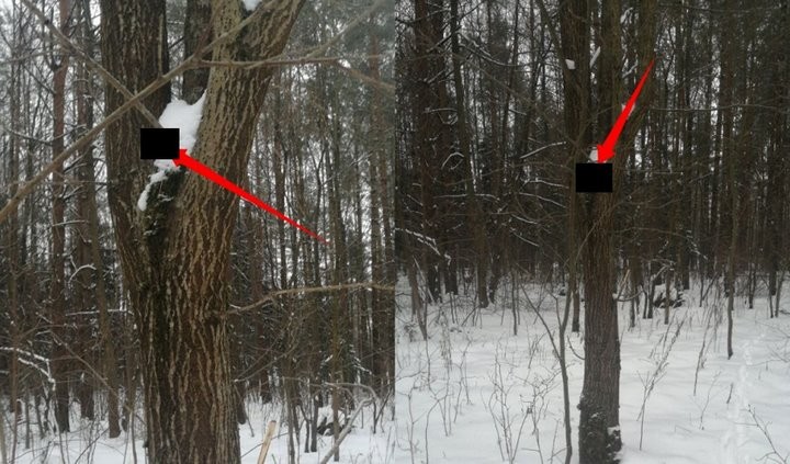 Девушка из Брестской области работала в наркомаркете в качестве «проверяющего»