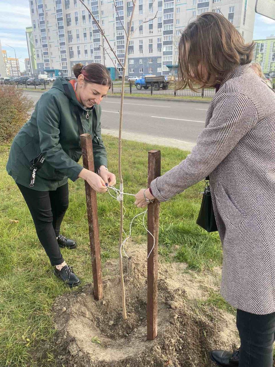 В Бресте на улице Махновича заложили аллею молодёжи