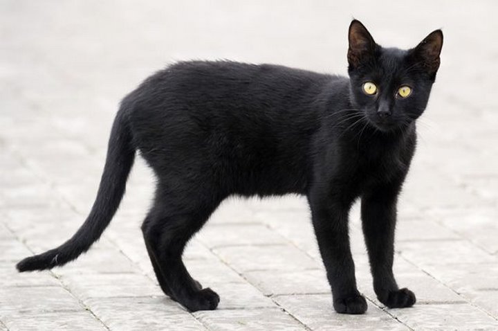 Фото из открытых источников (иллюстративное)