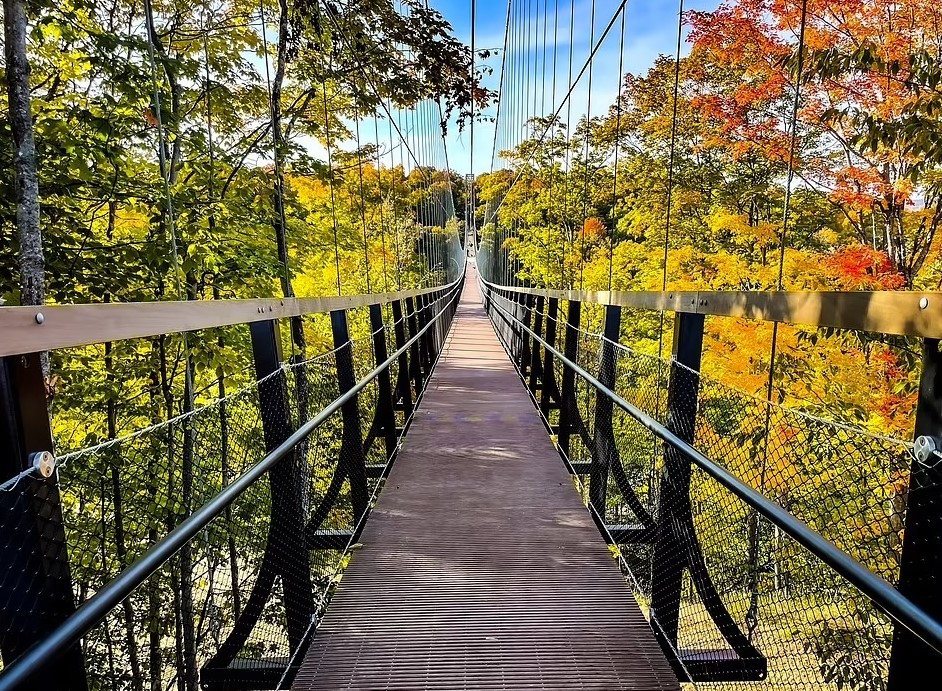 Открылся самый длинный в мире подвесной мост, сделанный в основном из дерева