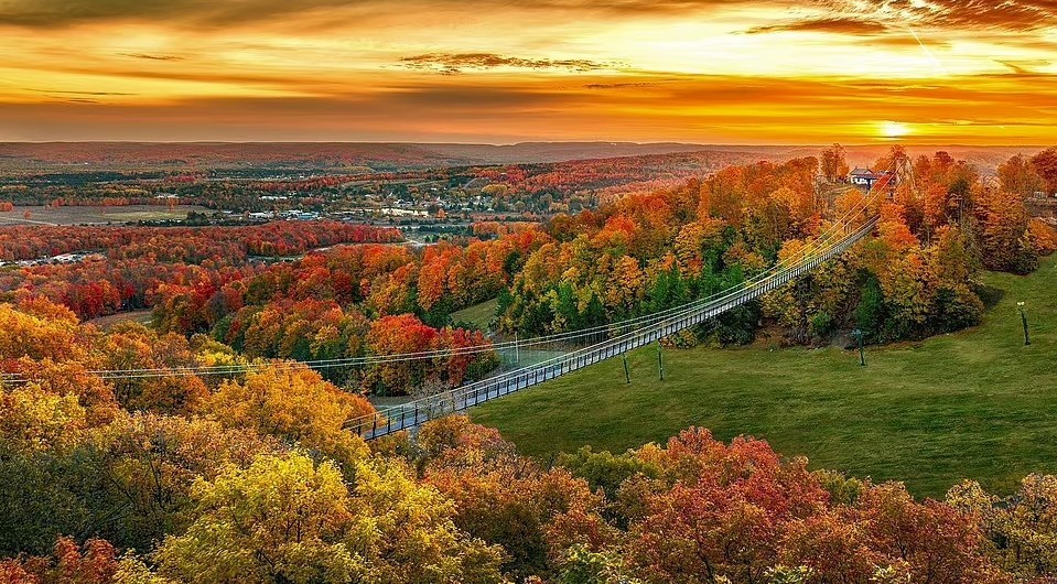 Открылся самый длинный в мире подвесной мост, сделанный в основном из дерева