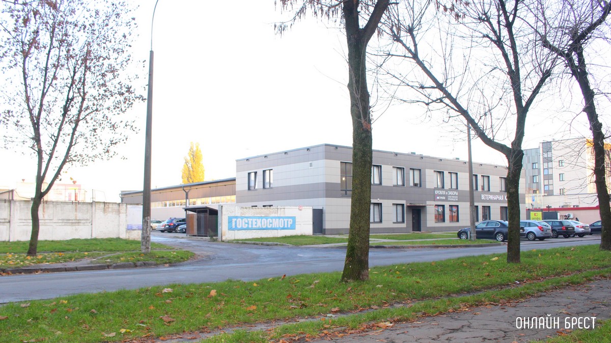 Техосмотр авто с любым типом двигателя по фиксированной цене в центре Бреста