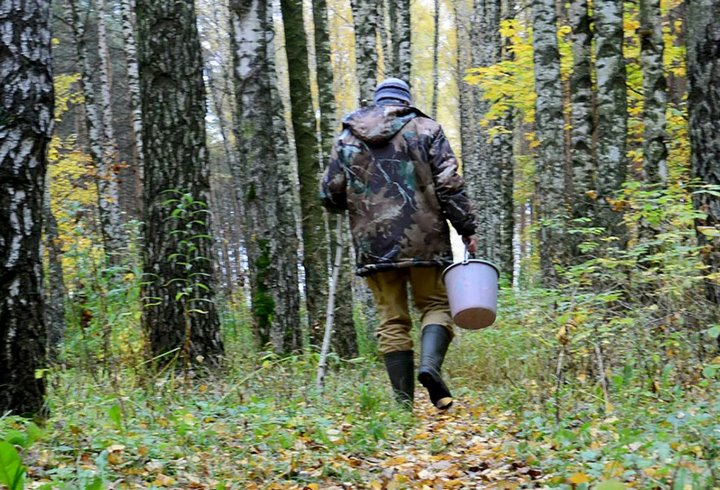 Фото из открытых источников (иллюстративное)