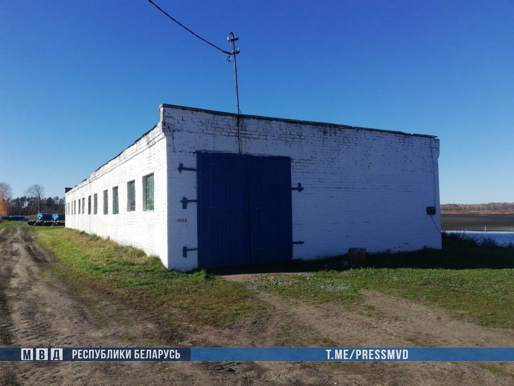 Ночная кража 4,5 тонн зерновых раскрыта в Брестской области