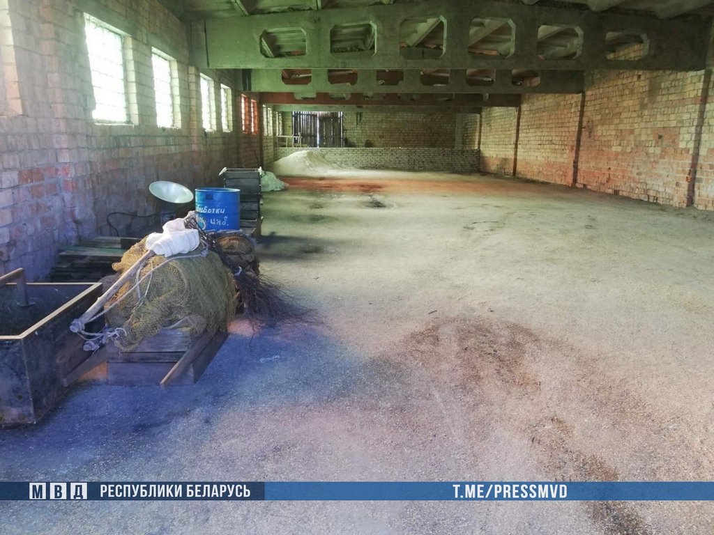 Ночная кража 4,5 тонн зерновых раскрыта в Брестской области