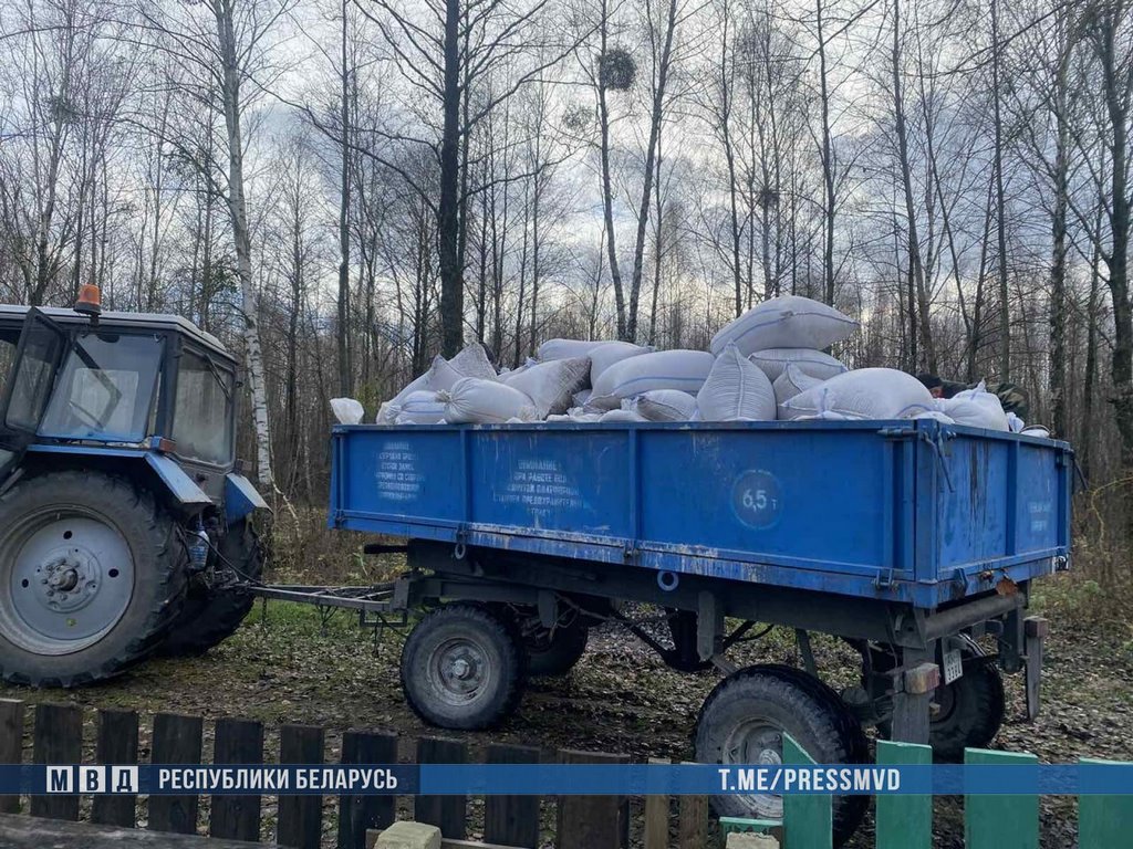Ночная кража 4,5 тонн зерновых раскрыта в Брестской области