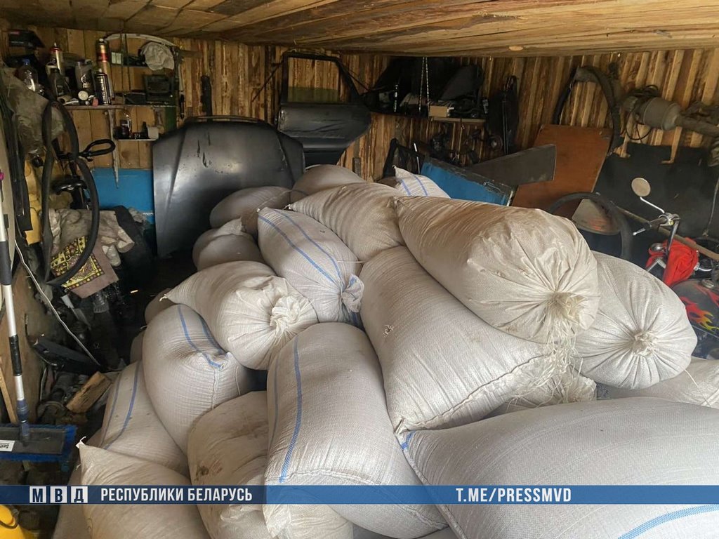 Ночная кража 4,5 тонн зерновых раскрыта в Брестской области