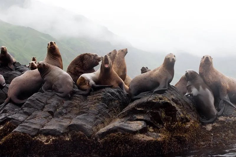 Медвежий угол. Брестчанка три недели вела исследования на Камчатке и повидала то, что здесь кажется экстремальной экзотикой