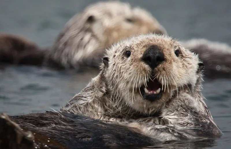 Медвежий угол. Брестчанка три недели вела исследования на Камчатке и повидала то, что здесь кажется экстремальной экзотикой